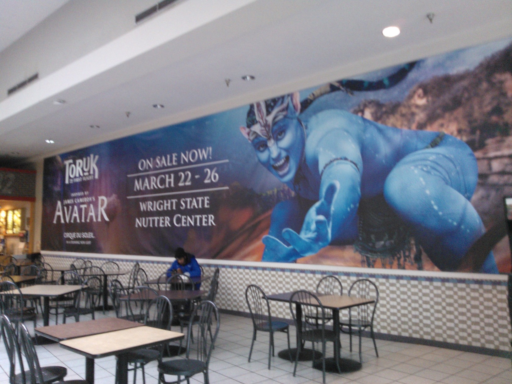 1-custom-wall-murals-bellbrook-oh-commercial-vinyl-graphics-near-me